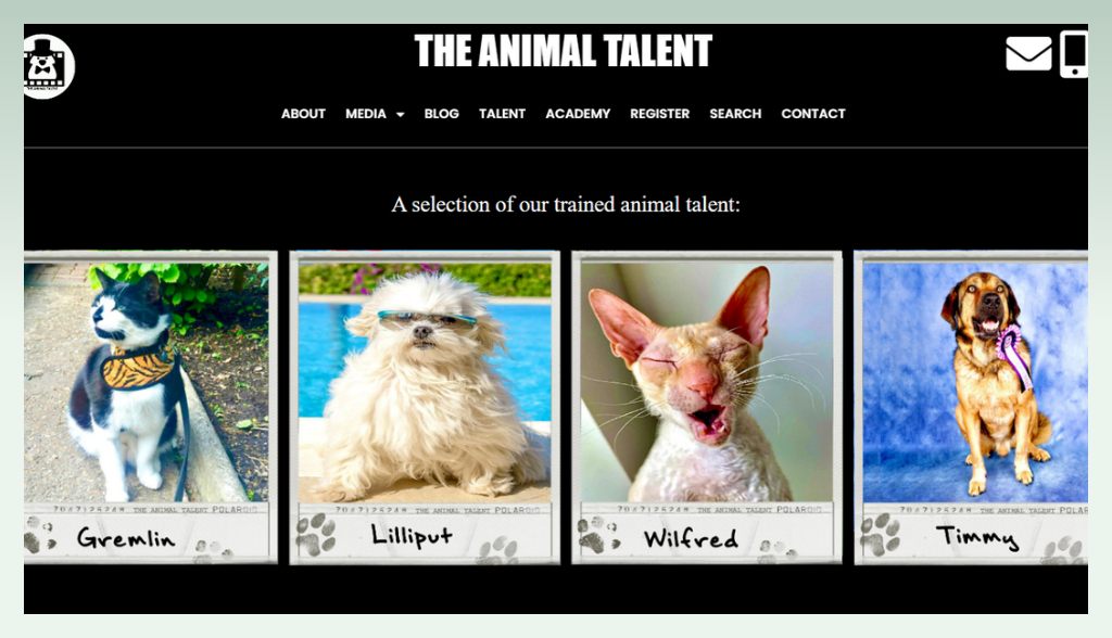 animal-talent-agency-pet-business-ideas