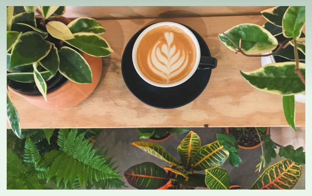 coffee-and-plant-shop-coffee-business-ideas