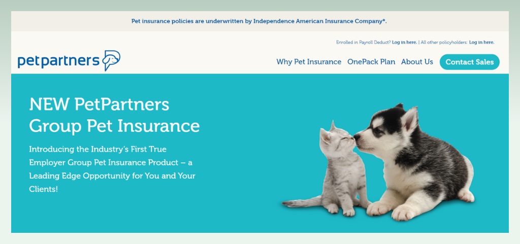 pet-insurance-broker-innovative business-ideas-for-pets