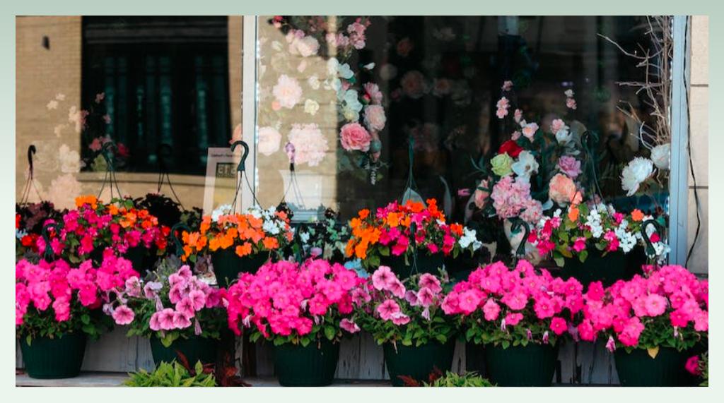 what-is-a-good-name-for-a-flower-shop