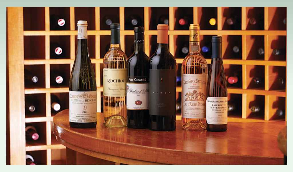 Wine-collecting-business-wine-business-ideas