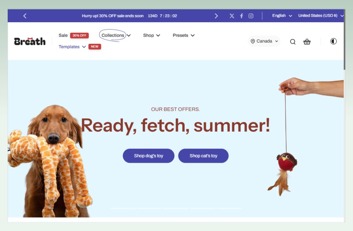 Eurus theme Review - breath style