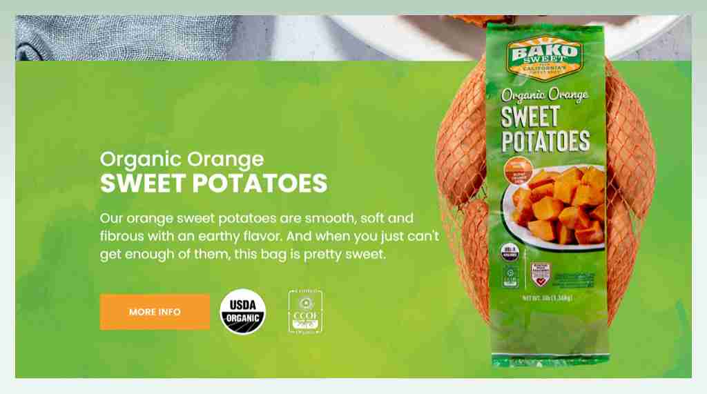 sweet-potato-business-name-example