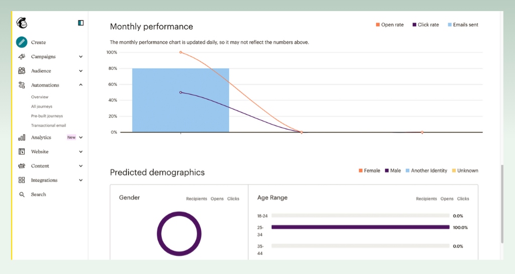 email-campaign-analytics-dashboard-showing-monthly-performance-and-predicted-demographics-shopify-integration-mailchimp