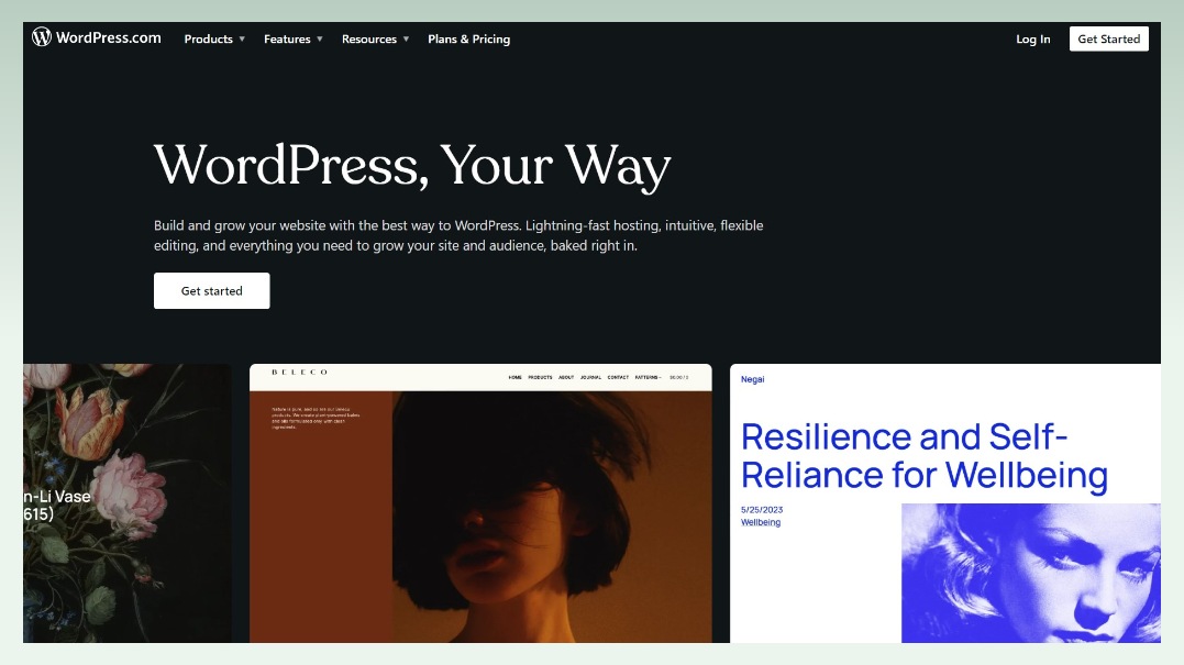 wordpress-homepage