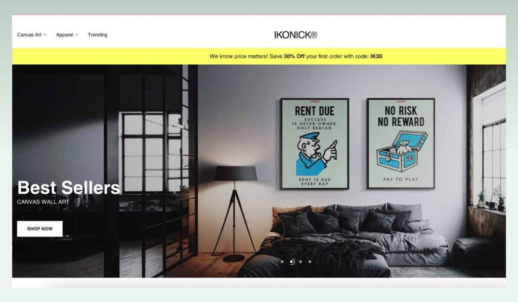 IKONICK-inspirational-best-shopify-art-stores