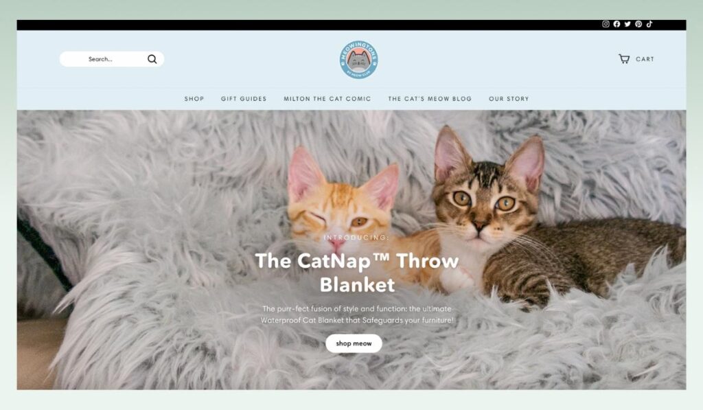Meowingtions-best-dropshipping-Shopify-stores