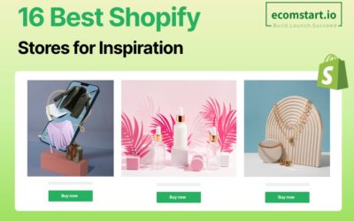 best-shopify-stores