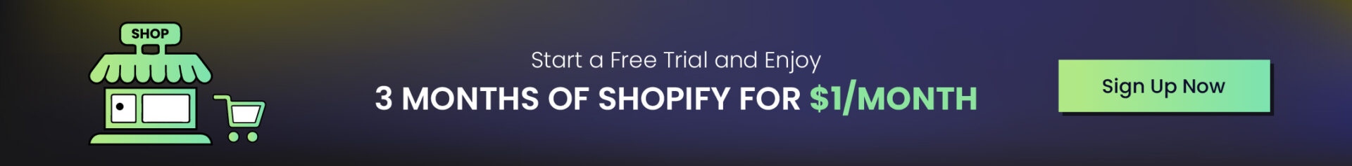open shopify store