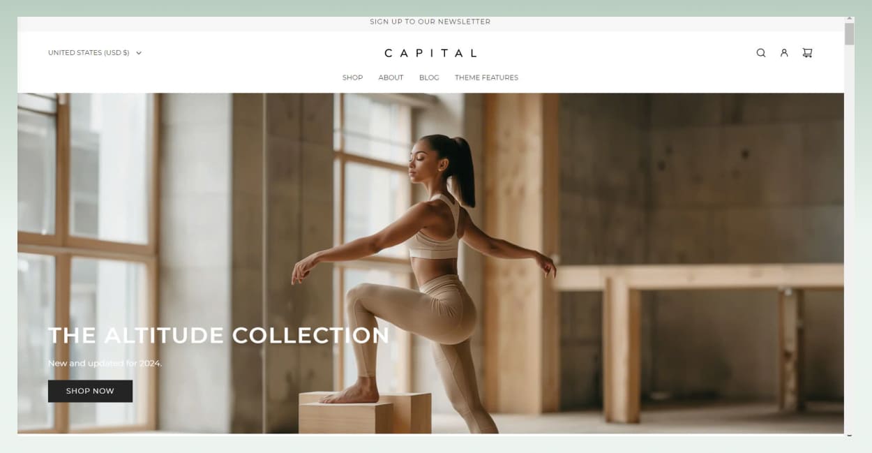 capital-example-Shopify-theme-for-large-inventory-stores