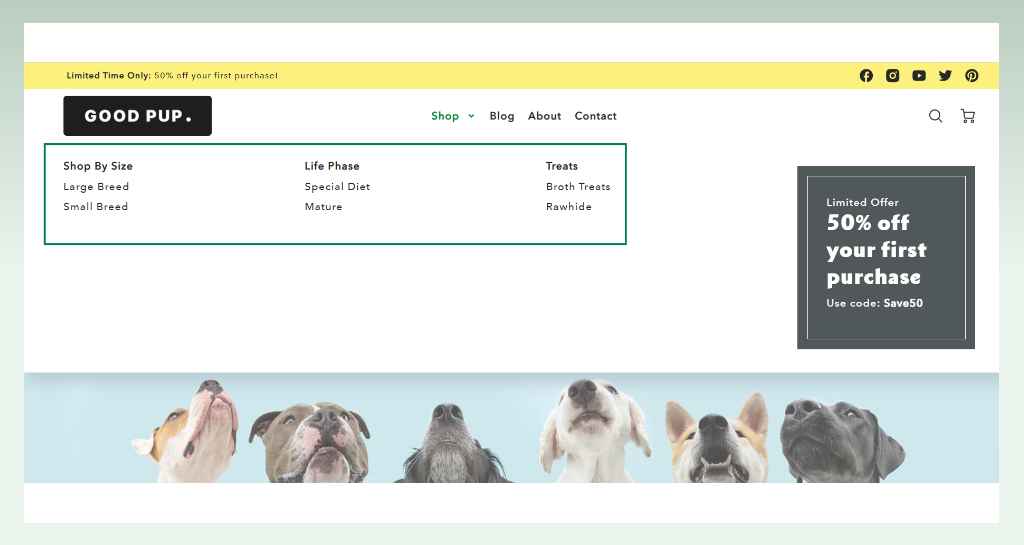 4-best-shopify-theme-for-pet-store-loft-features