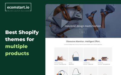 best-shopify-theme-for-multiple-products