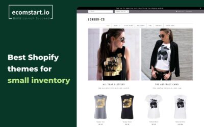 best-shopify-themes-for-small-inventory