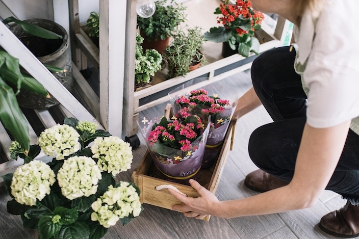Flower-shop-names-5
