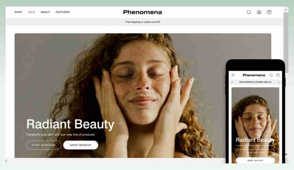 Palo-Alto-Shopify-theme-phenomena-layout