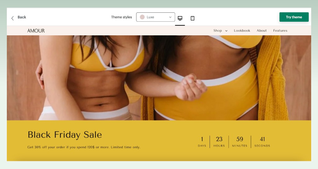 flash-sale-promo-streamline-theme