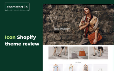 icon-shopify-theme-review