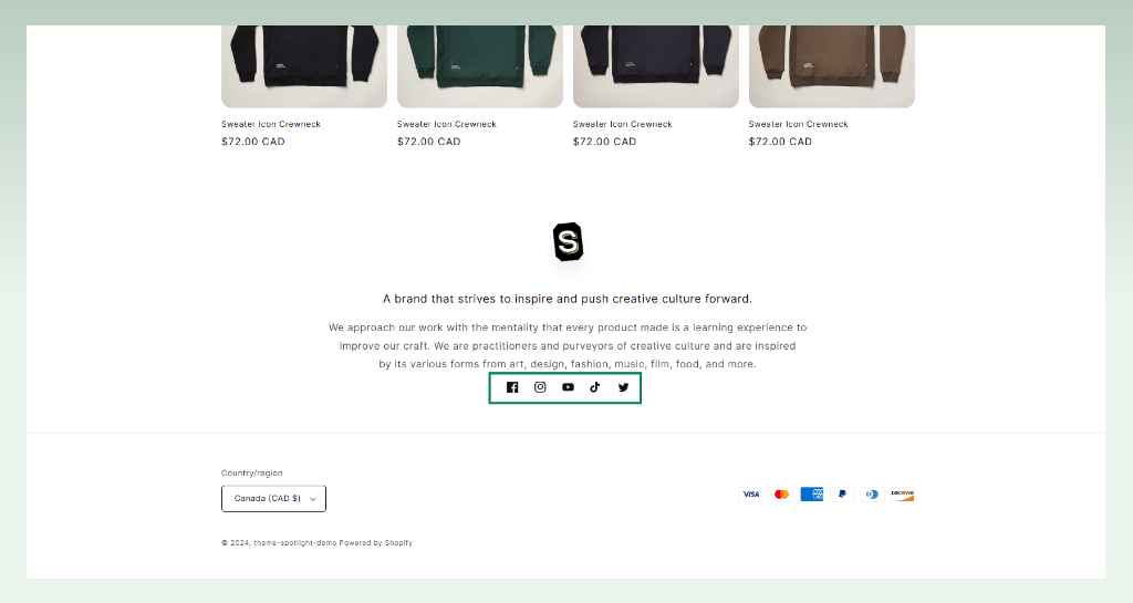 10-shopify-spotlight-theme-examples-social