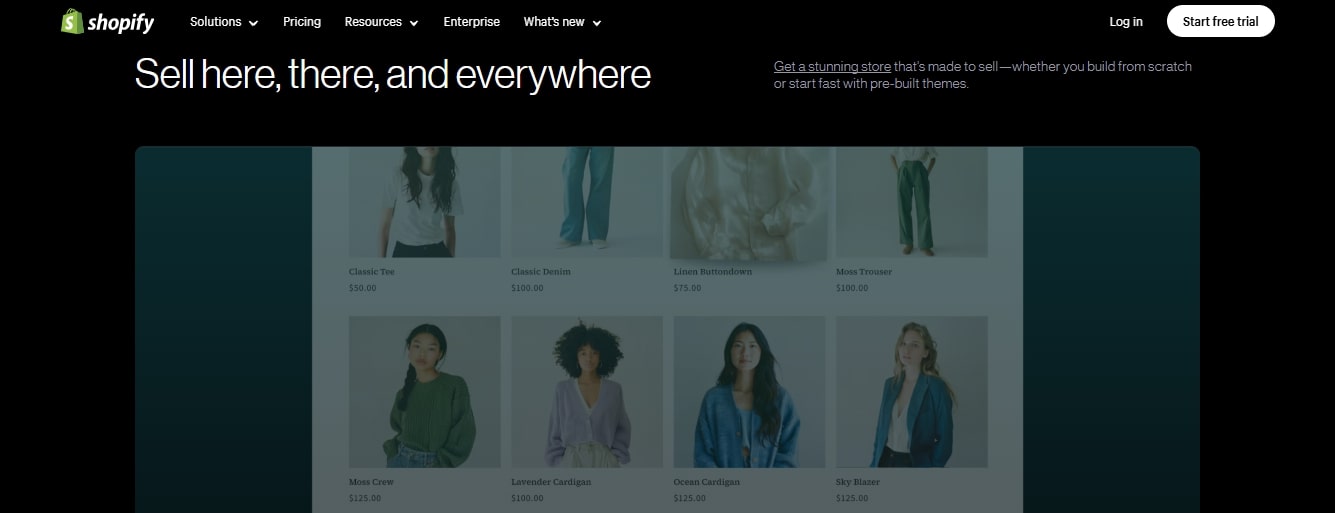 Shopify eCommerce Websites in Pakistan