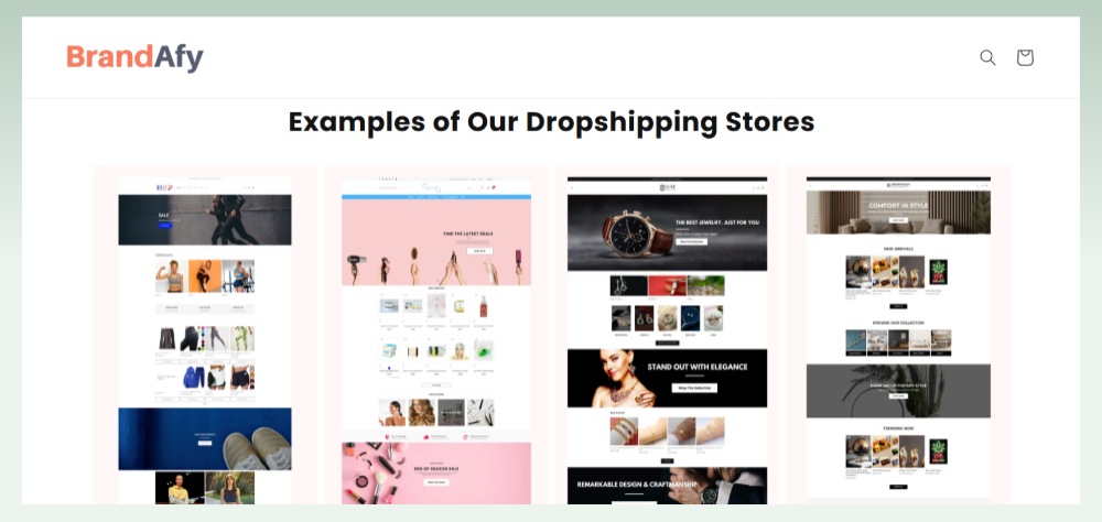 Brandafy-best-prebuilt-store-website-for-affordable-generic-store