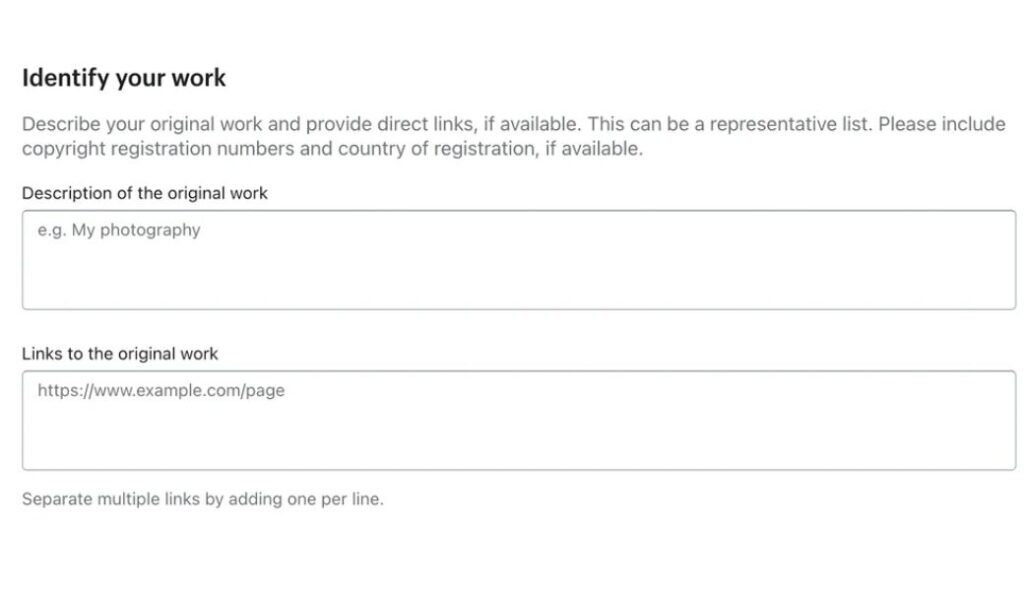 shopify dmca identity the original work