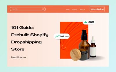 how-to-use-a-premade-dropshipping-stores