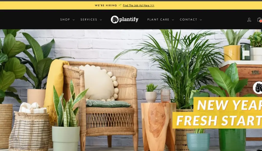 does shopify work in south africa - plantify