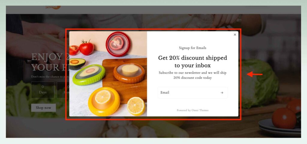 Collect-leads-through-pop-ups-Shopify-Sales-Funnel