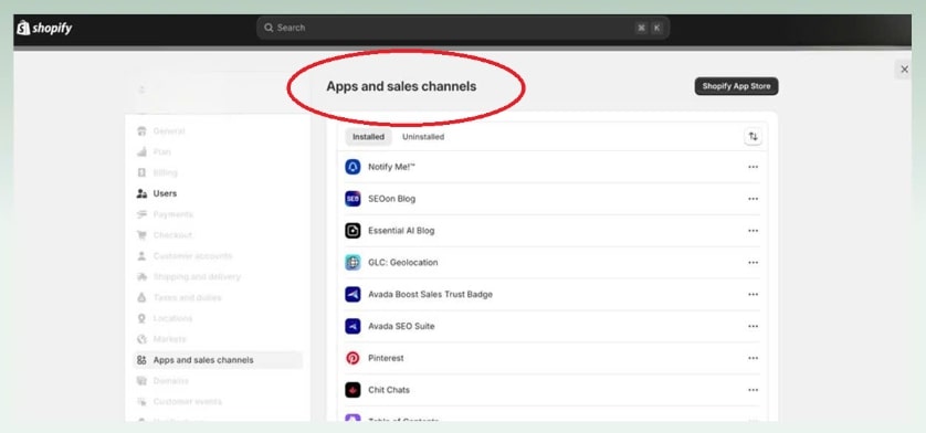 Step 2: Access the App in Shopify Admin