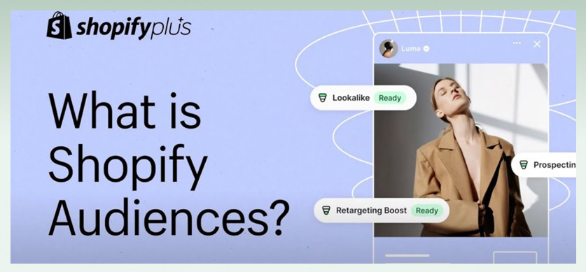 What is Shopify Audience?