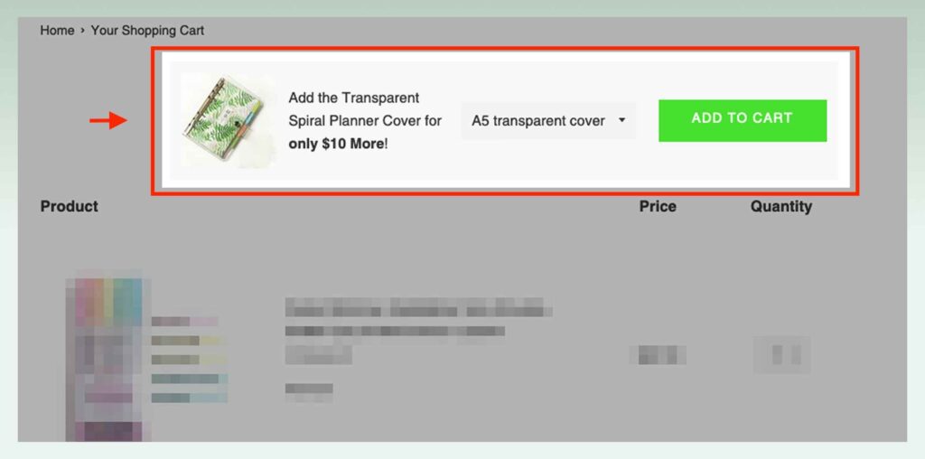 Cart-page-or-drawer-upsells-how-to-upsell-on-Shopify