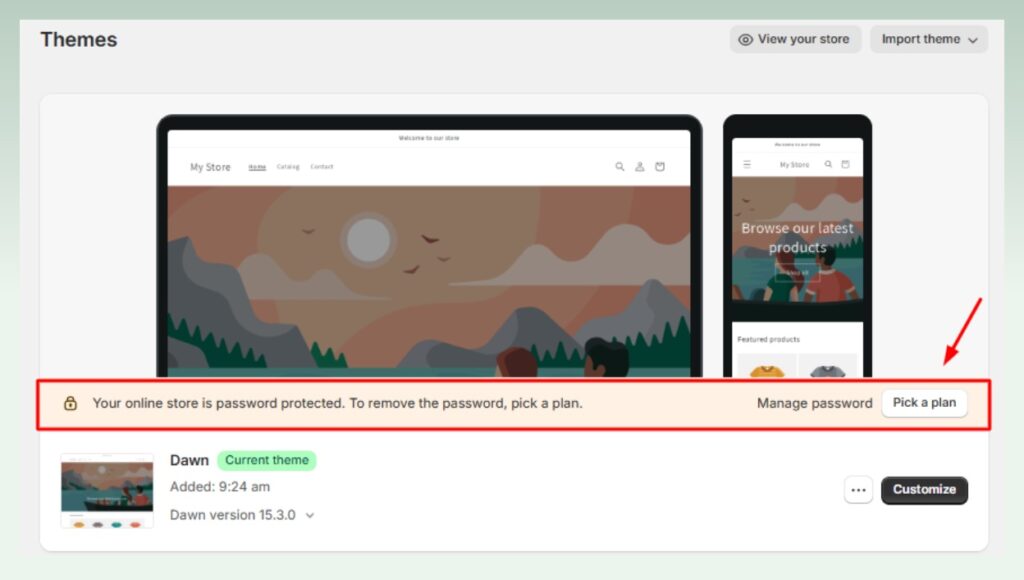 launch-shopify-store