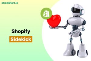 shopify-sidekick-ai-assistant